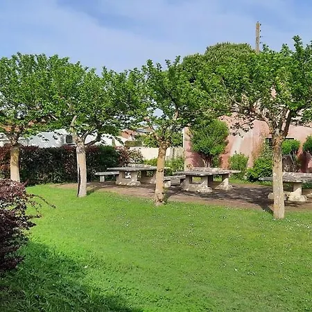 2 Stars - Dans De Loisirs * Saint-Pierre-d'Oleron